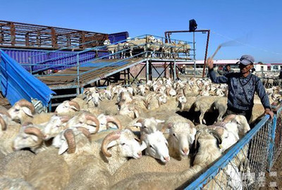 内蒙古东部局地出现暴雪 牧区需加大牲畜出栏_新浪地产网